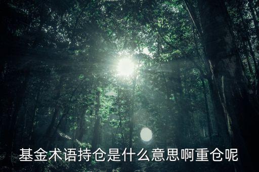 etf持倉是什么意思，基金術(shù)語持倉是什么意思啊重倉呢