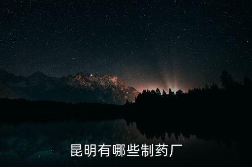 昆藥全資子公司都有什么，昆明有哪些制藥廠