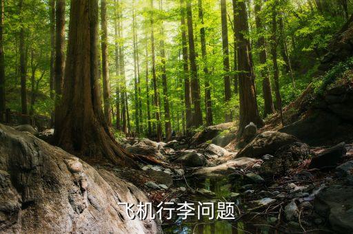 航空公司可以拒載什么傷人，憑什么飛機(jī)可以拒載