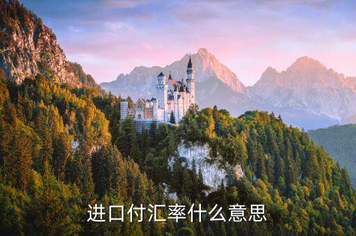 進(jìn)口付匯是什么意思，進(jìn)口付匯是什么