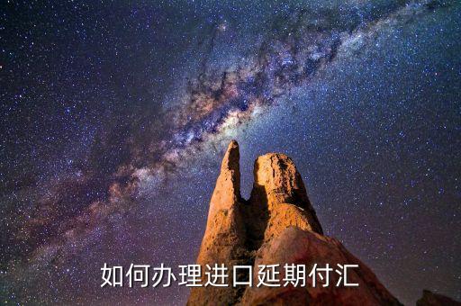 什么是進(jìn)口付匯，什么是跨境貿(mào)易人民幣結(jié)算啊