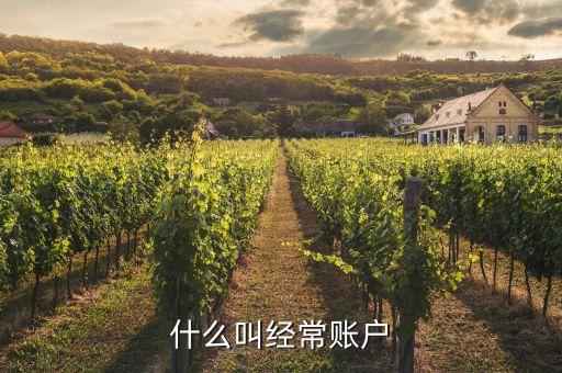 什么是經(jīng)常項目賬戶，經(jīng)常項目賬戶和資本項目賬戶