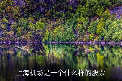 上海機(jī)場股票屬于什么股票，上海機(jī)場屬于什么行業(yè)的股票
