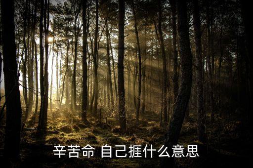 苦捱是什么意思，請問苦啷是什么意思