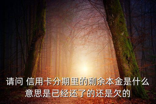 分期付息的本金是什么，請問 信用卡分期里的剩余本金是什么意思是已經(jīng)還了的還是欠的
