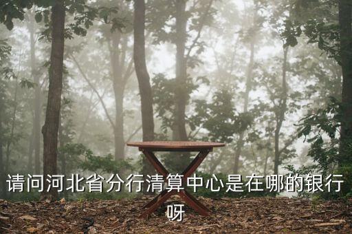河北省分行清算中心是什么，請問河北省分行清算中心是在哪的銀行呀