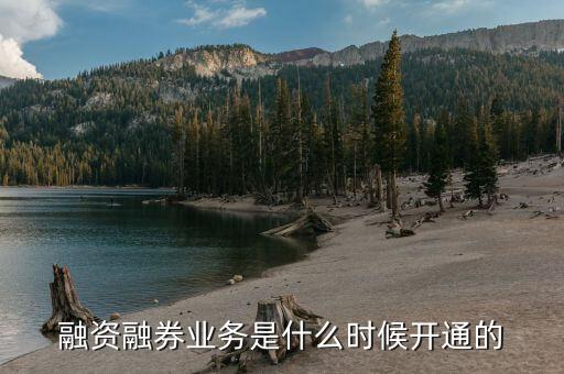 今年融券政策什么時(shí)候放開的，融資融券什么時(shí)候開始