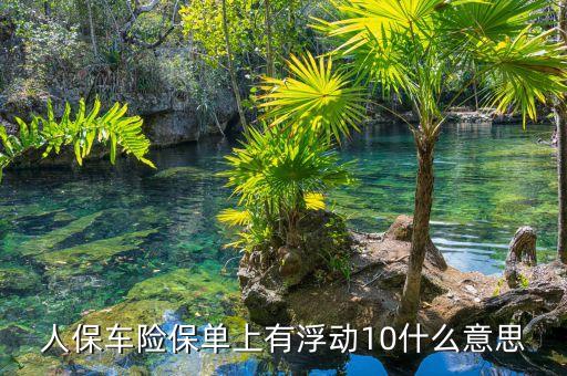 人保中保險(xiǎn)費(fèi)率浮動(dòng)是什么，如圖我買的人保車險(xiǎn)費(fèi)率浮動(dòng)一欄顯示的幾個(gè)負(fù)數(shù)是什么意思