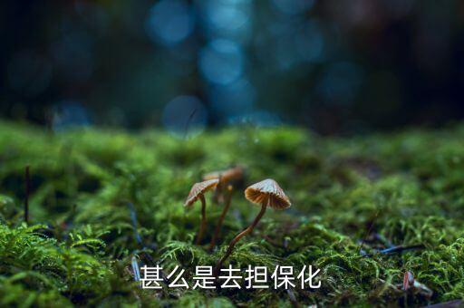什么叫p2p去擔(dān)?；趺词侨?dān)?；?/></a></span><span id=