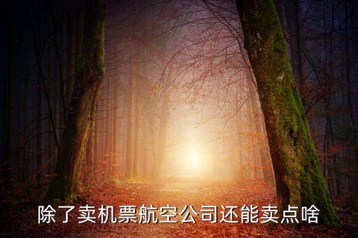什么叫空地聯(lián)運(yùn)，昆明火車站候機(jī)