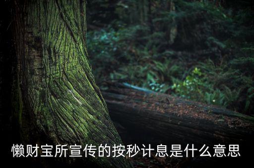 懶財(cái)寶什么時(shí)候計(jì)息，懶財(cái)寶T0計(jì)息什么意思