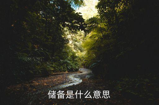 現(xiàn)金儲(chǔ)備是什么意思，現(xiàn)金儲(chǔ)備是現(xiàn)金嗎比如蘋果現(xiàn)金儲(chǔ)備2600億美金