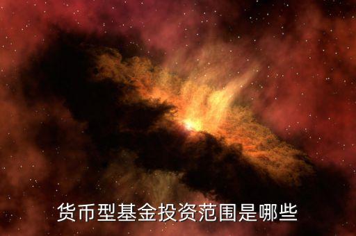 貨幣基金主要投資什么，貨幣型基金投資范圍是哪些