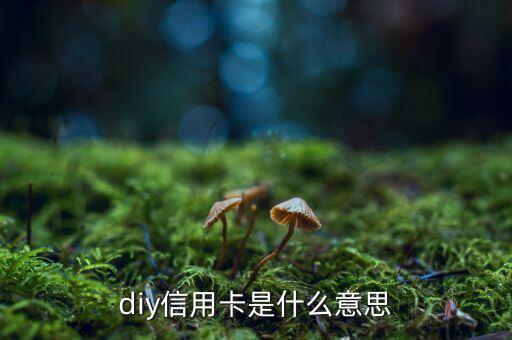 diy信用卡是什么意思，D1y信用卡是什么意思