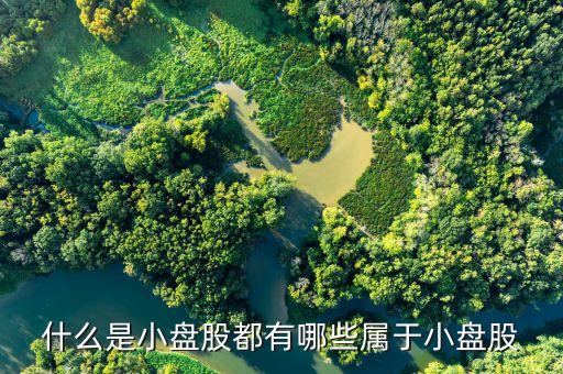什么算小盤股，什么是小盤股都有哪些屬于小盤股