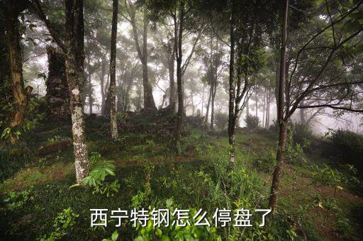 西寧特鋼為什么停牌，西寧特鋼怎么停盤了