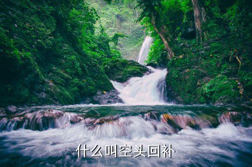 股票空頭回補是什么意思，股票中空頭回補中的數(shù)值是什么意思