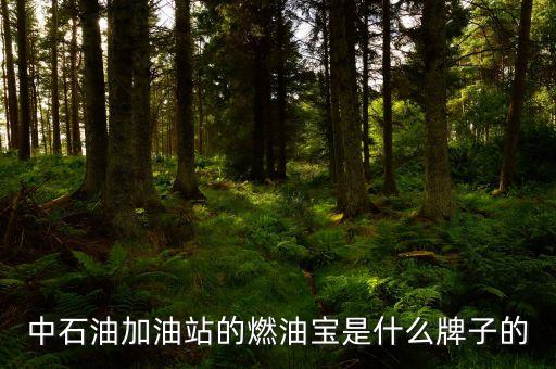 珠海中國石油里賣的是什么燃油寶，燃油寶是什么網(wǎng)上有得賣嗎