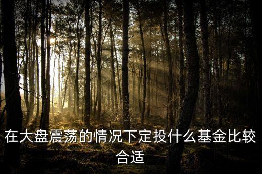 大盤調(diào)整買什么基金好，在大盤震蕩的情況下定投什么基金比較合適