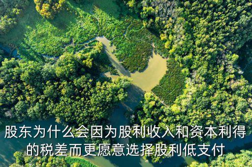 為什么發(fā)放股票股利會資本利得稅，股東為什么會因為股利收入和資本利得的稅差而更愿意選擇股利低支付
