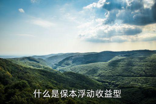 保本浮動收益是什么意思，什么是保本浮動收益型