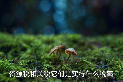 資源稅采用什么稅率，資源稅的計稅依據(jù)是什么稅率是多少