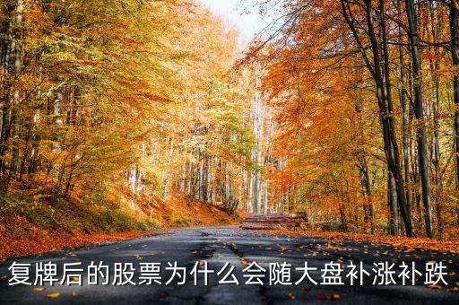 股票復(fù)牌為什么會補(bǔ)跌，復(fù)牌后的股票為什么會隨大盤補(bǔ)漲補(bǔ)跌