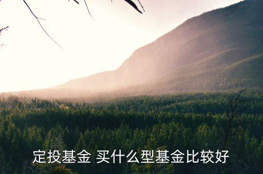 定投基金買什么最好，定投什么基金好