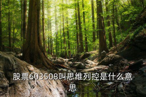 思維列控是做什么的，新股思維列控603508發(fā)行價(jià)是多少