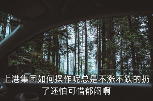 上港集團(tuán)什么級(jí)別，上港集團(tuán)振東集裝箱碼頭分公司的介紹
