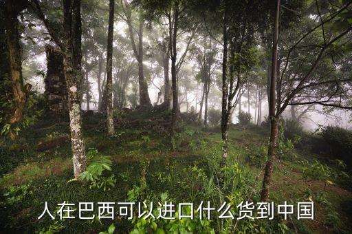 中國從巴西進(jìn)口什么，中國向巴西進(jìn)口哪些東西