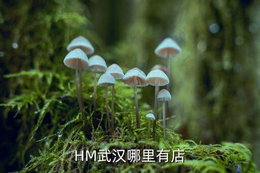 武漢禧h酒店什么時間開業(yè)，武漢哪里有快開張的酒店