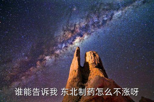 東北制藥為什么不漲，002251為什么不漲是不是公司出問題了