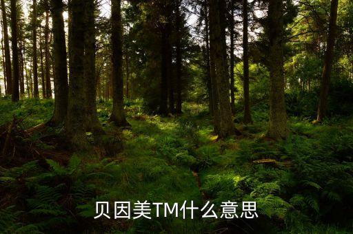 貝因美尾盤1多手什么意思，貝因美TM什么意思