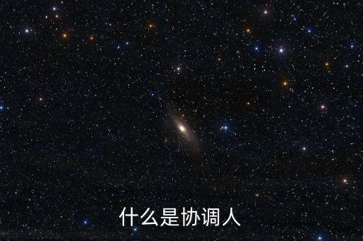 什么是協(xié)調人