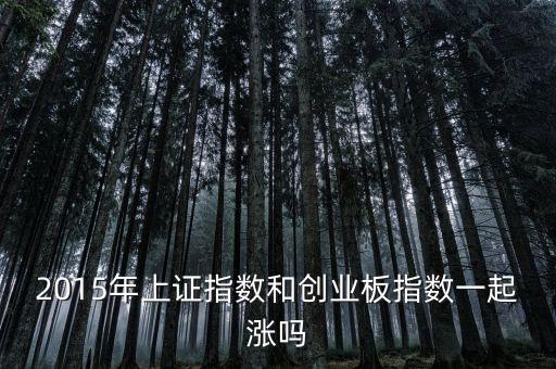 2015年創(chuàng)業(yè)板為什么漲，2015年上證指數(shù)和創(chuàng)業(yè)板指數(shù)一起漲嗎