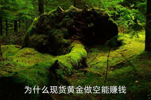 貴金屬為什么能做空，黃金白銀為什么做空會(huì)賺錢(qián)啊