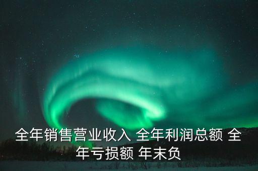 全年銷(xiāo)售營(yíng)業(yè)收入 全年利潤(rùn)總額 全年虧損額 年末負(fù)