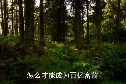 拿什么沖百億，怎么才能成為百億富翁