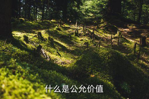 什么是資產(chǎn)組公允價值，什么是公允價值