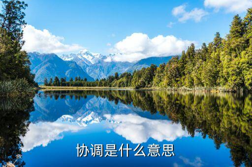 全球協(xié)調(diào)人是什么意思，協(xié)調(diào)是什么意思