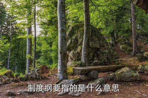 什么是公司綱要，制度綱要指的是什么意思
