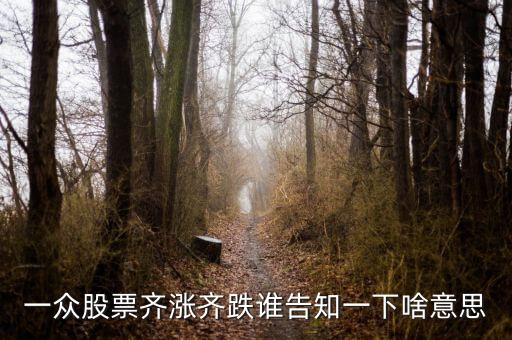 股票量?jī)r(jià)齊跌意味著什么，這幾天大盤量?jī)r(jià)齊跌從技術(shù)角度說明什么