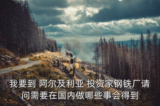 阿爾及爾投資什么好，本人打算去非洲做生意 都需要準備些什么