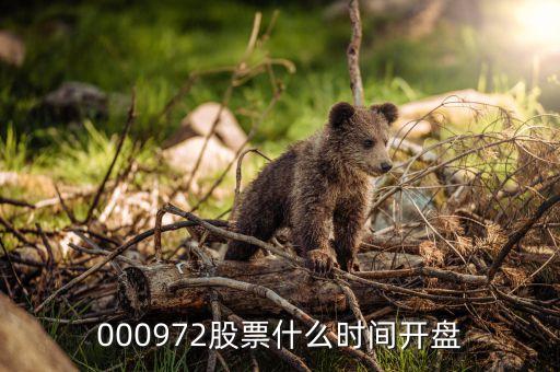 迦南科技什么時(shí)候開(kāi)盤(pán)，002730甚么時(shí)候開(kāi)盤(pán)