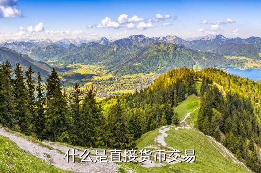 什么叫貨幣直接交易，什么是直接貨幣交易