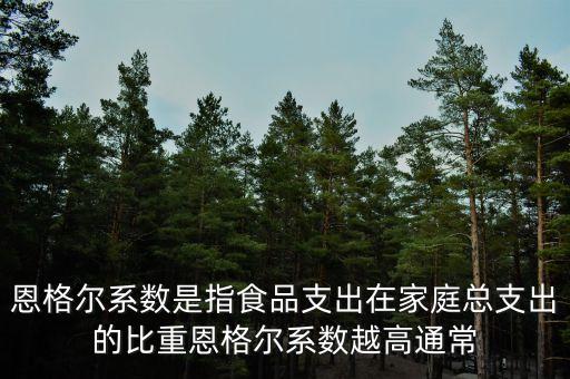 什么是恩格爾系數(shù)法，什么是恩戈?duì)栂禂?shù)
