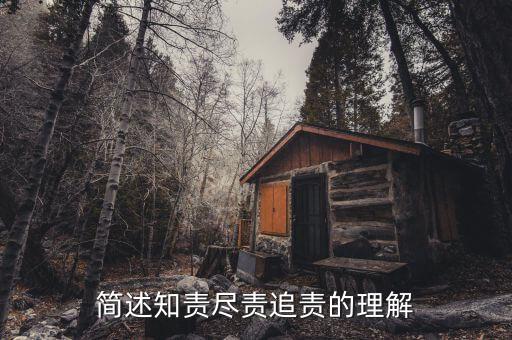 什么是追責(zé)，簡述知責(zé)盡責(zé)追責(zé)的理解