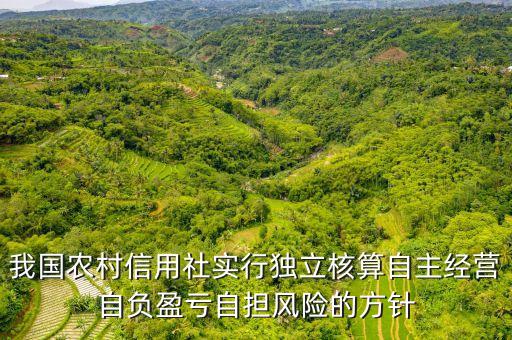 自擔(dān)風(fēng)險是什么，報關(guān)報檢證如果掛靠自擔(dān)風(fēng)險嗎