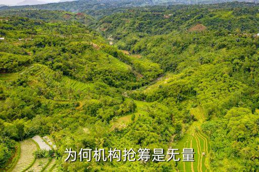 機(jī)構(gòu)搶籌什么意思，股市中機(jī)構(gòu)搶籌是好事還是壞事